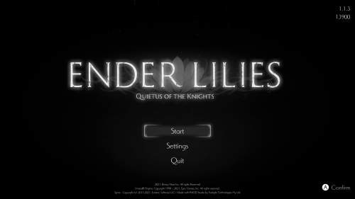 TGDB - Browse - Game - Ender Lilies: Quietus of the Knights